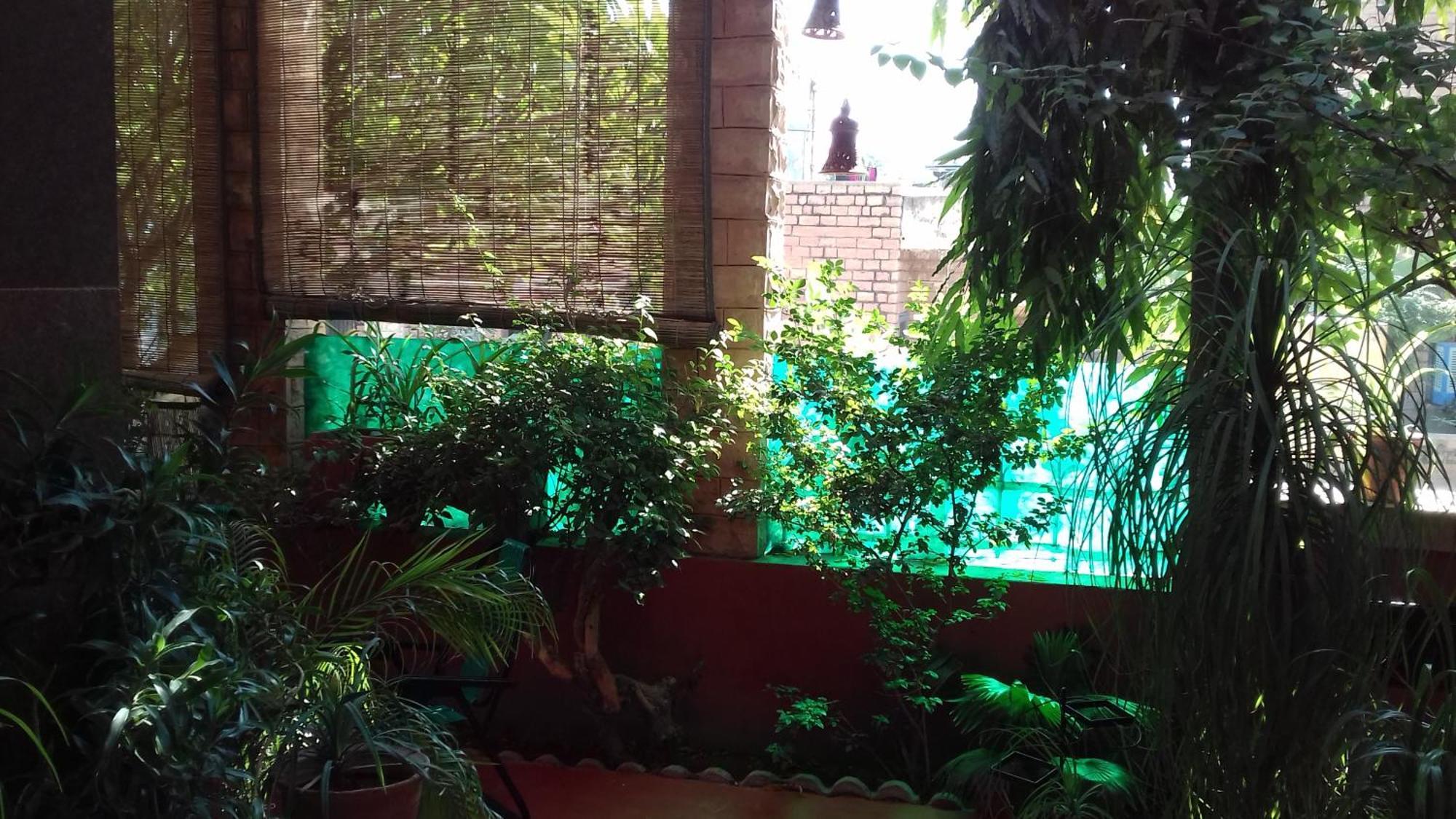 "Nain'S Kunj" A Traveller'S Home Τζοντχπούρ Εξωτερικό φωτογραφία