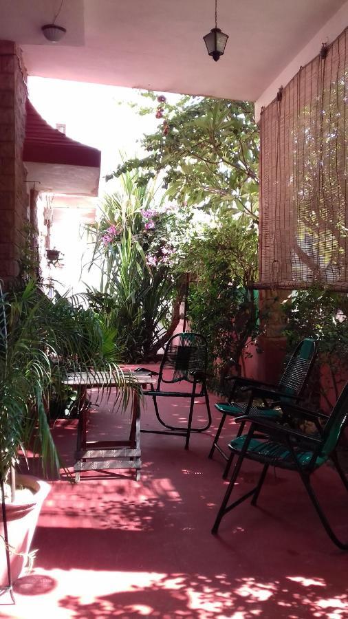 "Nain'S Kunj" A Traveller'S Home Τζοντχπούρ Εξωτερικό φωτογραφία